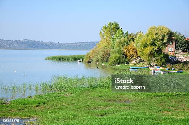 Lago Circondato Con Pianta Verde - Fotografie stock e altre immagini di Acqua - Acqua, Albero, Ambientazione esterna