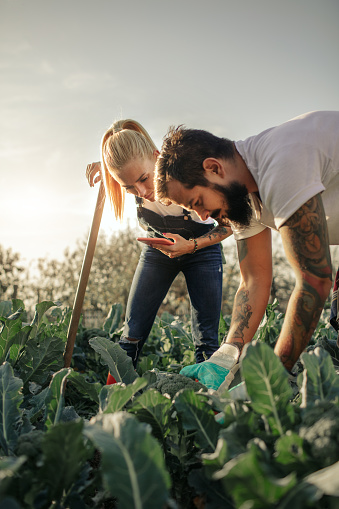 Tattooed couple working on their organic farm.