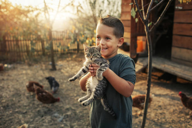 Organic Farm And Free Range Chicken Eggs