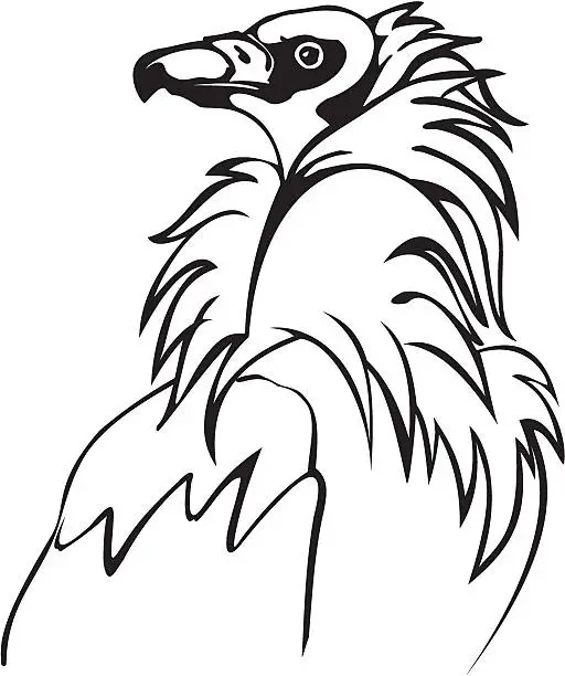 Vector illustration of Vulture bird