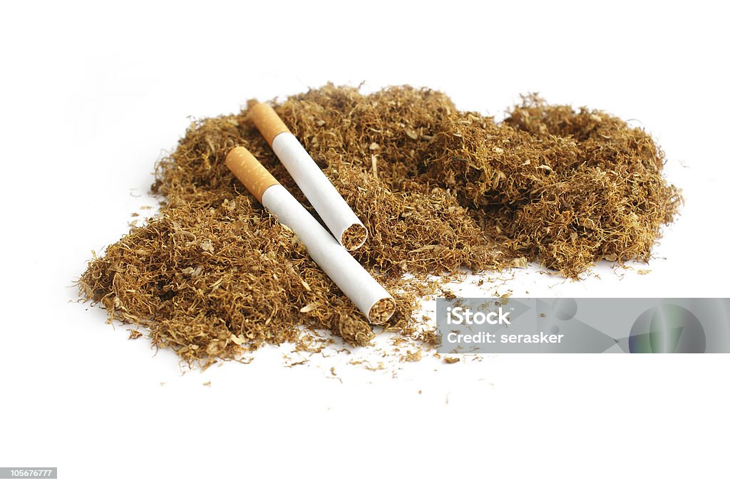 tobacco Tobacco White Background Stock Photo