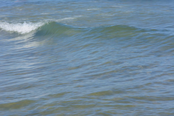 istock natural background. a small running wave with foam near the shore 1056768960
