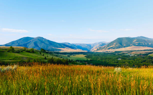 istock The prairie with Rockies as backdrop, Montana, USA. 1056769266