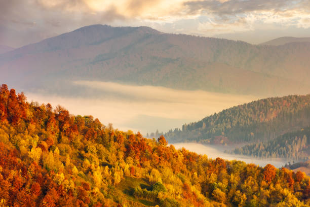 istock lovely autumn scenery in mountains at sunrise 1056772202