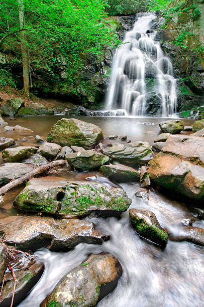 Spruce Flat Falls Beautiful Spruce Flat Falls in Great Smoky Mountains National Park after the spring rains. tremont stock pictures, royalty-free photos & images