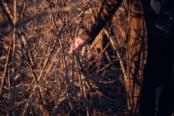 Lightly Touch 190+ Lightly Touch Stock Photos, Pictures & Royalty-Free Images - iStock