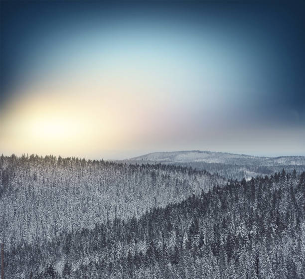 Winter Sunset Over Snowy Forest