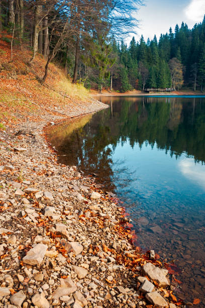 istock shore of Synevyr lake 1056779148