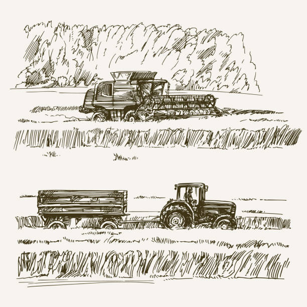 ilustraciones, imágenes clip art, dibujos animados e iconos de stock de tierras de cultivo, la cosecha en la granja. - agriculture field tractor landscape
