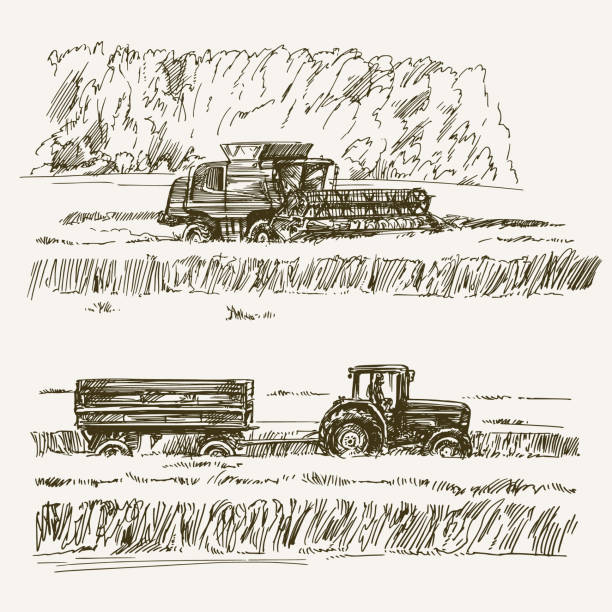 pola uprawne, zbiory w gospodarstwie. - agriculture field tractor landscape stock illustrations