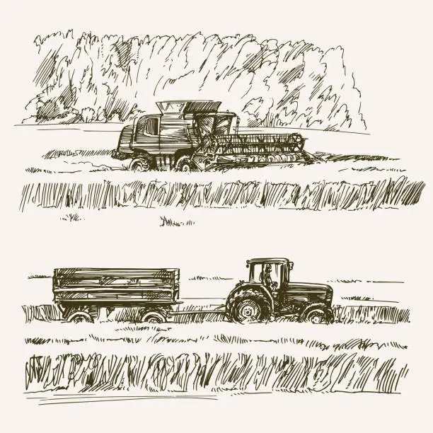 Vector illustration of Farmland, harvest on the farm.