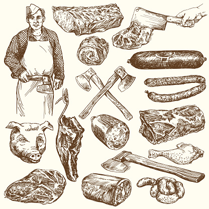 Meat, butcher. Hand drawn vector illustration