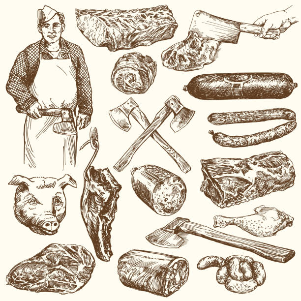 Meat, butcher. Meat, butcher. Hand drawn vector illustration butcher illustrations stock illustrations