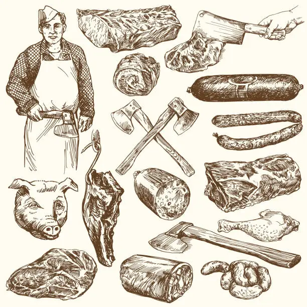 Vector illustration of Meat, butcher.