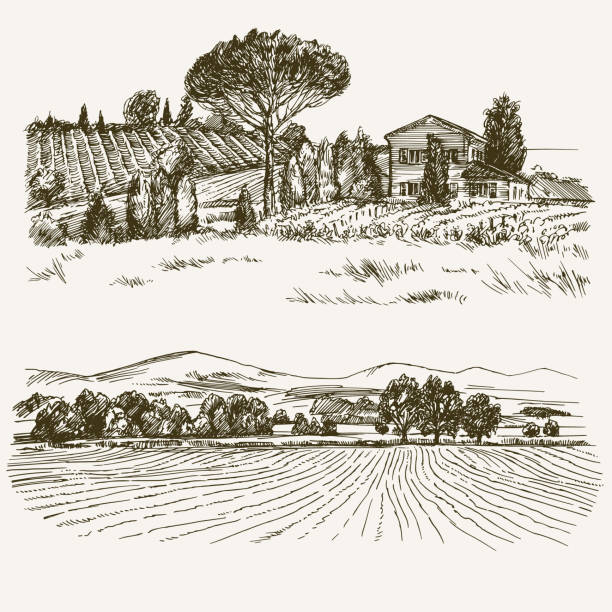 bildbanksillustrationer, clip art samt tecknat material och ikoner med landsbygdens landskap med hus på landet och vingård. - lantligt motiv illustrationer