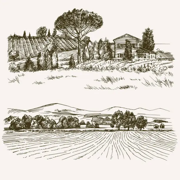 Vector illustration of Rural landscape with country house and vineyard.