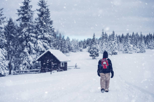 istock Winter Fairytale in Snowy Forest 1056782096