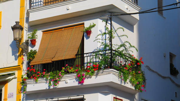 istock Wooden blinds protecting against strong sunshine 1056782164