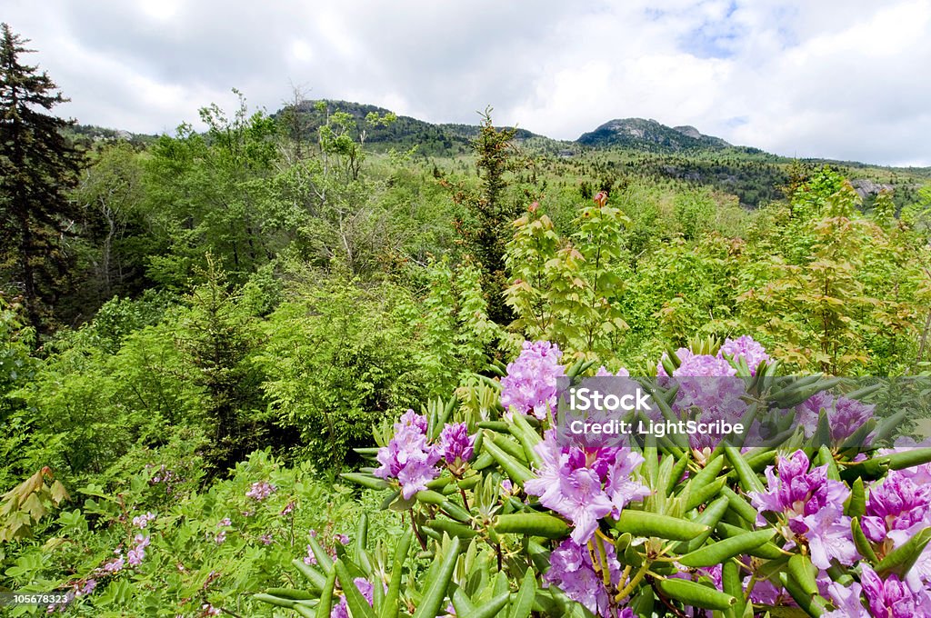 Grandfather Mountain - Foto stock royalty-free di Carolina del Nord - Stato USA