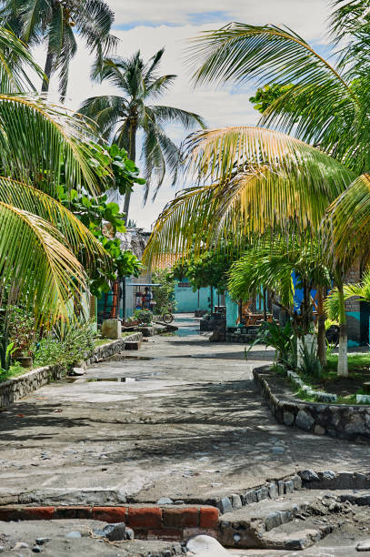 istock El Cuco, Black Sand Beach El Salvador 1056784204