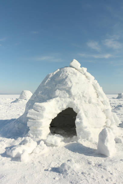 istock Igloo  standing on a snowy glade  in the winter 1056786294