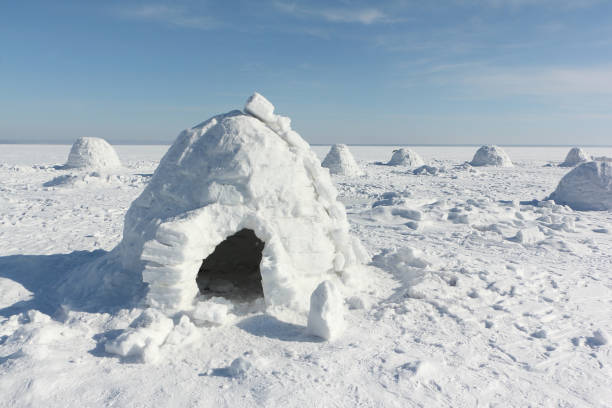istock Igloo  standing on a snowy glade  in the winter 1056786300
