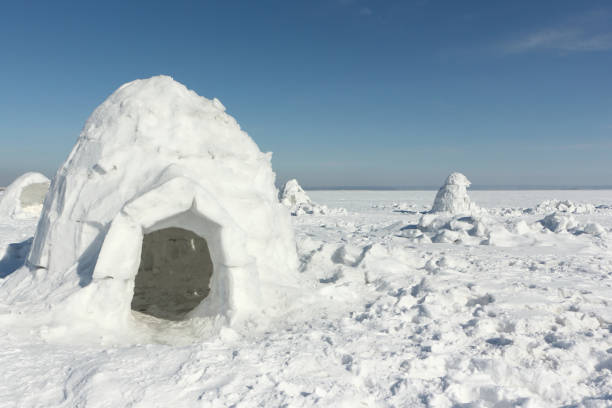 istock Igloo  standing on a snowy glade  in the winter 1056786302