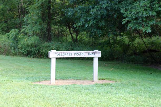 istock Small Wood Trail Sign 1056787604