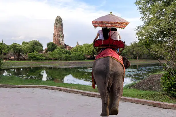 Photo of Foreign tourists Elephant ride to visit Ayutthaya