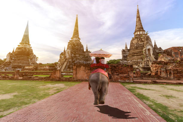 istock Foreign tourists Elephant ride to visit Ayutthaya 1056800888