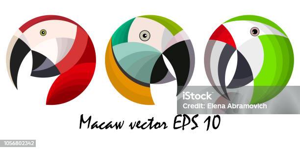 Three Colorful Macaw Parrots Heads Vector Illustration Stock Illustration - Download Image Now