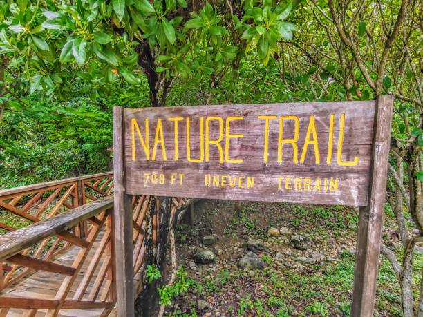 istock Hiking in Honduras. 1056802734