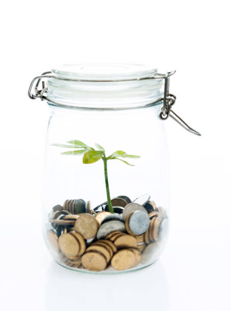 istock Plant growing from coin in the jar 1056805746
