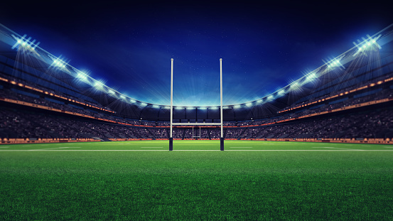 Estadio de rugby enorme con ventiladores y pasto verde photo