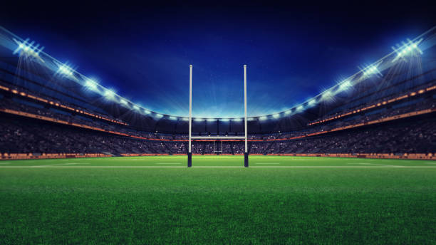 stade de rugby énorme avec les fans et l’herbe verte - match international photos et images de collection