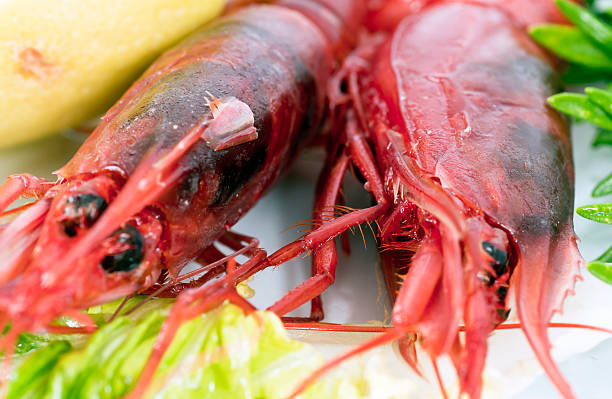 Close up from a red lobster