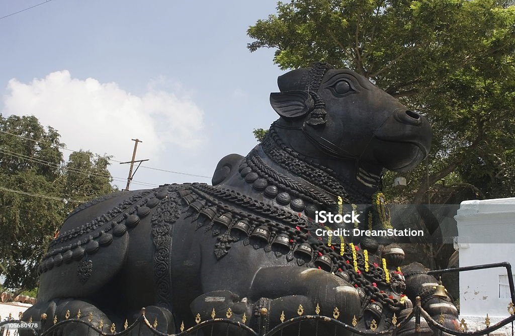 Nandi Bull Stock Photo - Download Image Now - Ancient, Animal Head, Asia - iStock Nandi Bull Stock Photo - Download Image Now - Ancient, Animal Head, Asia - iStock