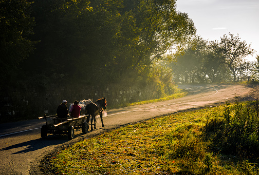 Volovets, Ukraine - SEP 30, 2016: gypsy family ride a horse cart uphill the serpentine in countryside area. bright autumnal foggy sunrise in Carpathian mountains