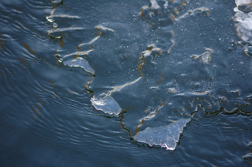 Ice Floe  on a river