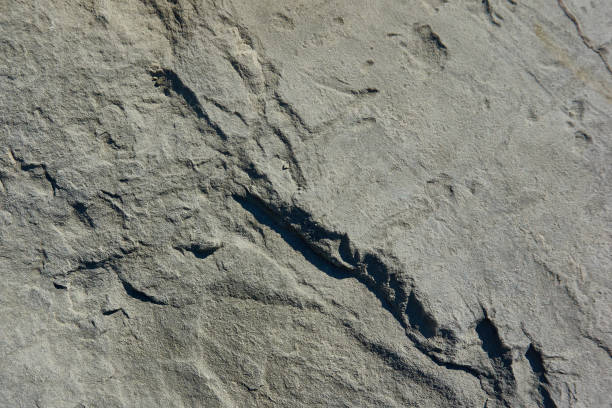 istock Natural stone with a natural texture as a design concept. 1056812956