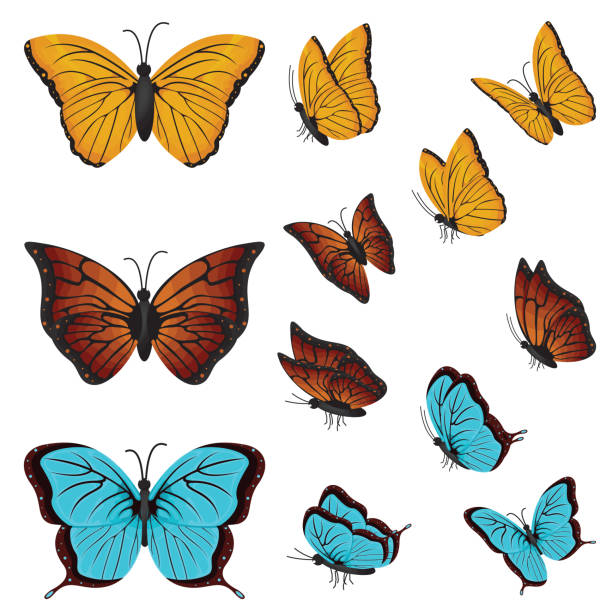 istock Colorful Butterflies Beautiful Butterfly Various Directions Collection Set 1056813414