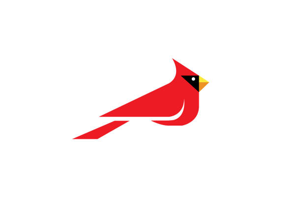 Cardinal Bird Logo Cardinal Bird Logo Design Illustration cardinal bird stock illustrations