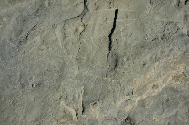 istock Natural stone with a natural texture as a design concept. 1056820250