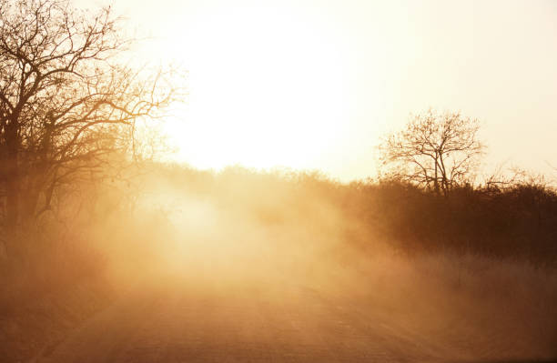 Dust of Africa in the dry season Dusty dirt road during sunset in the Ruaha National Park in Tanzania. africa sunset ruaha national park tanzania stock pictures, royalty-free photos & images