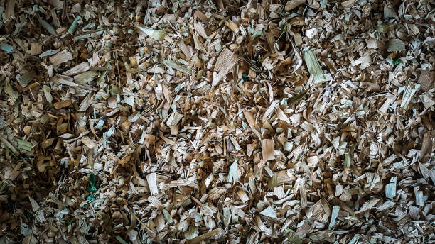 istock dry leaf litter collected ready to be dumped into landfills 1056826302