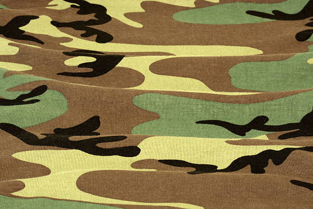 istock woodland camouflage background 105682641