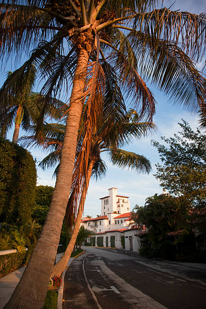 istock Coconut Palms And Everglades Hotel 105682839