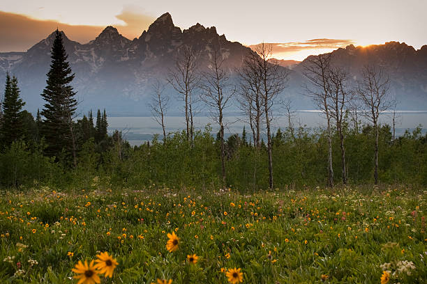 coucher de soleil de grand tetons de shadow mountain - lac jenny photos et images de collection