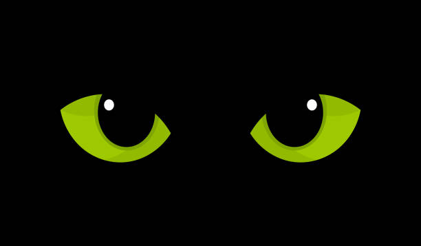 stockillustraties, clipart, cartoons en iconen met groene kat ogen in het duister - green friday