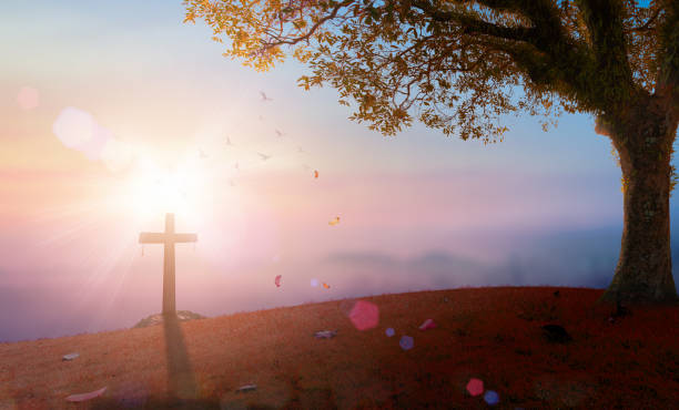 The cross at autumn background stock photo